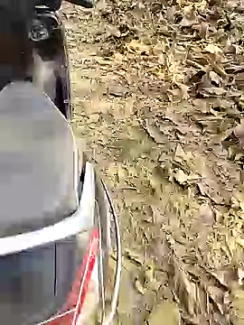 Snapshot of 88karan88 chatting on December 25, 4:44 am 88karan88 online show from December 25, 4:44 am