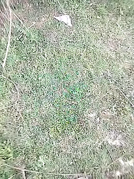 Snapshot of 88karan88 chatting on February 23, 10:28 am 88karan88 online show from February 23, 10:28 am