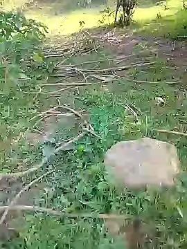 Snapshot of 88karan88 chatting on February 24, 3:55 am 88karan88 online show from February 24, 3:55 am