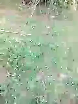 Snapshot of 88karan88 chatting on February 26, 10:58 am 88karan88 online show from February 26, 10:58 am