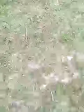 Snapshot of 88karan88 chatting on February 27, 11:20 am 88karan88 online show from February 27, 11:20 am