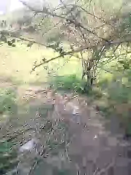 Snapshot of 88karan88 chatting on March 4, 4:38 am 88karan88 online show from March 4, 4:38 am