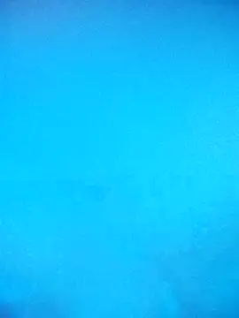 skrigul12 online show from February 14, 3:31 pm