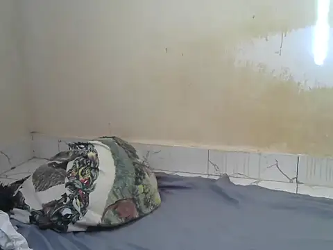 Snapshot of Zenath_ chatting on July 18, 5:11 am Zenath online show from July 18, 5:11 am