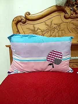 Snapshot of YunLem chatting on November 17, 2:06 am YunLem online show from November 17, 2:06 am