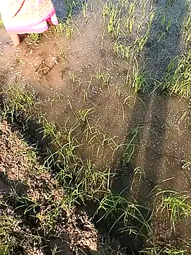 hairipussy2 online show from February 7, 10:29 am