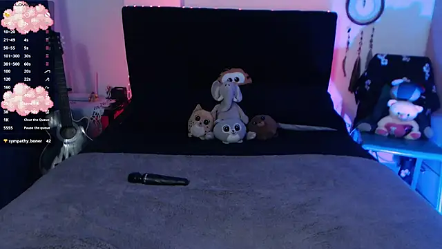 Snapshot of Theprojectsaraa chatting on December 30, 12:00 am Theprojectsaraa online show from December 30, 12:00 am