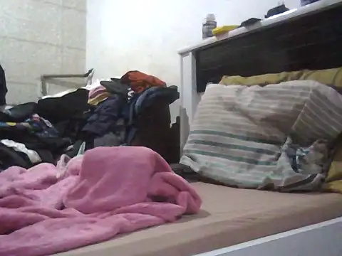 noiadosub online show from November 30, 7:01 am