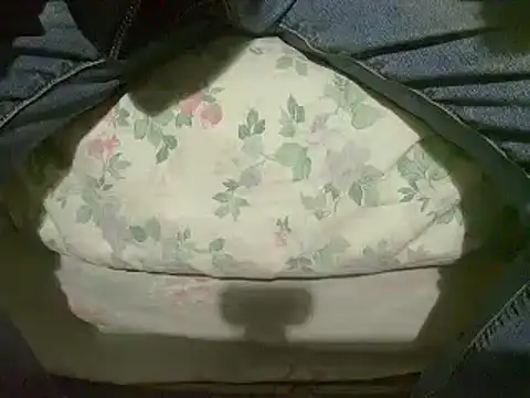 Tiger202441 online show from January 12, 4:08 pm