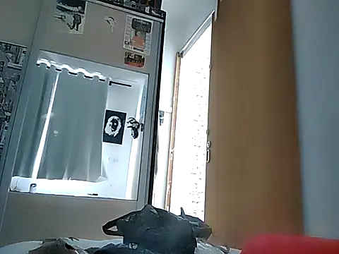 Snapshot of Binhosex2024 chatting on March 12, 6:00 pm Binhosex2024 online show from March 12, 6:00 pm