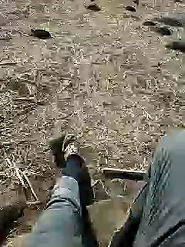 murokkk31 online show from December 3, 8:38 am