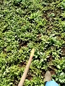 murokkk31 online show from April 6, 6:25 am