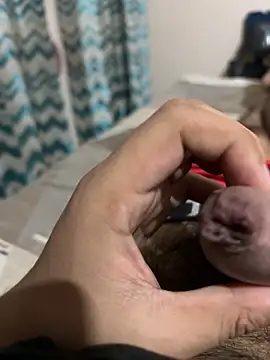 Snapshot of thecockybouy chatting on March 1, 4:37 am thecockybouy online show from March 1, 4:37 am