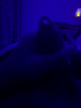 Snapshot of thecockybouy chatting on March 2, 1:36 am thecockybouy online show from March 2, 1:36 am