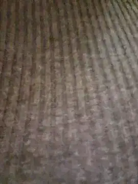 Snapshot of lamorbosa37 chatting on February 10, 8:13 pm lamorbosa37 online show from February 10, 8:13 pm