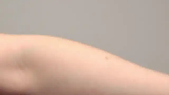 AliceMunro online show from January 25, 1:32 am