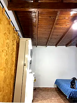 Snapshot of Zaratattoox chatting on December 1, 9:53 pm Zaratattoox online show from December 1, 9:53 pm