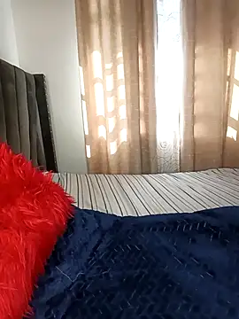 Golden diver online show from November 5, 6:24 am