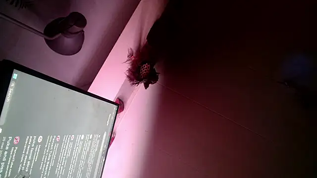 Snapshot of Gigadickman chatting on December 13, 6:00 am Gigadickman online show from December 13, 6:00 am