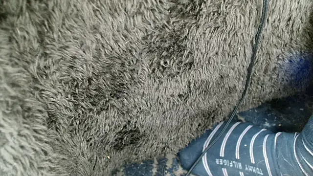 Snapshot of Gigadickman chatting on December 13, 9:02 am Gigadickman online show from December 13, 9:02 am