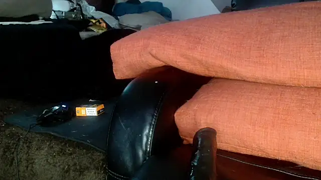 Snapshot of Gigadickman chatting on December 18, 1:02 pm Gigadickman online show from December 18, 1:02 pm