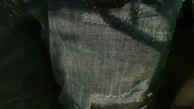 Snapshot of Gigadickman chatting on January 2, 4:02 pm Gigadickman online show from January 2, 4:02 pm