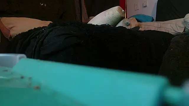 Snapshot of Gigadickman chatting on January 15, 2:17 am Gigadickman online show from January 15, 2:17 am