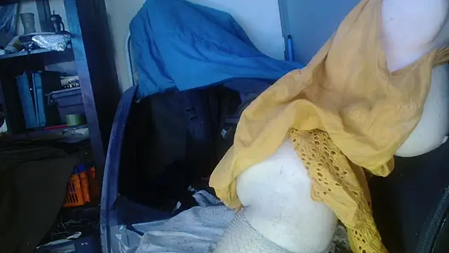 Snapshot of Gigadickman chatting on January 29, 2:19 am Gigadickman online show from January 29, 2:19 am