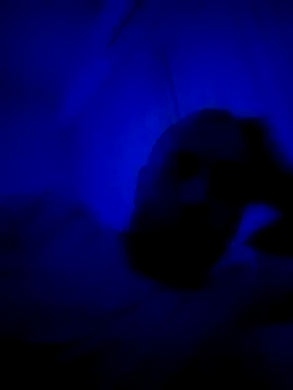 HELL FIRE online show from September 30, 5:23 am