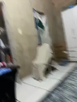 Snapshot of HenriqueH3 chatting on March 2, 4:14 pm HenriqueH3 online show from March 2, 4:14 pm