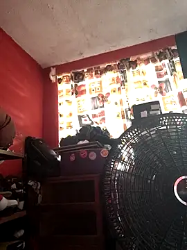 Snapshot of VL25DN26 chatting on November 7, 4:51 pm VL25DN26 online show from November 7, 4:51 pm