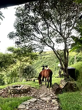 FlpGmz online show from April 4, 10:18 pm