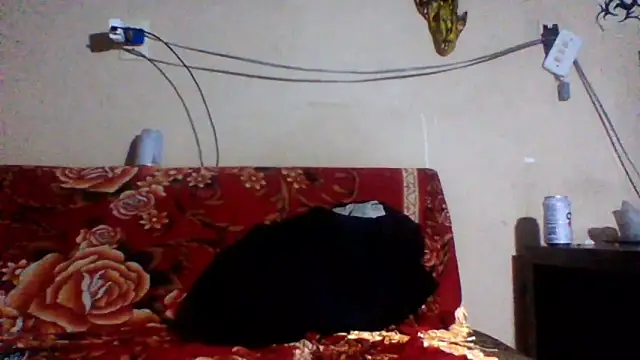 sellvageria online show from February 26, 3:49 am