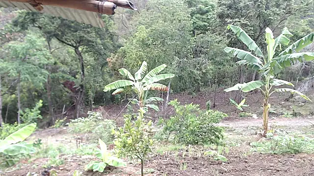 andreu mature online show from October 7, 1:08 pm