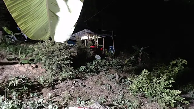 andreu mature online show from October 8, 1:14 am