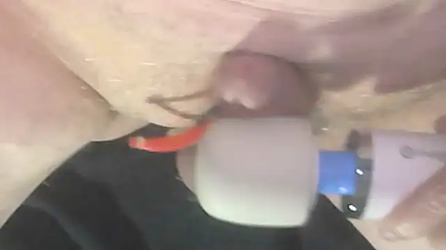 Snapshot of trittico chatting on October 9, 1:47 am trittico online show from October 9, 1:47 am