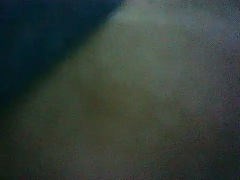 mumbi91 online show from January 16, 4:38 am