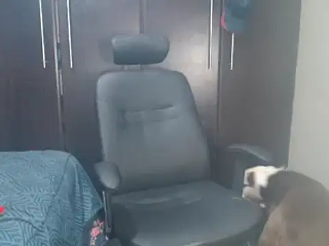 Snapshot of blzed420 chatting on February 15, 11:14 pm blzed420 online show from February 15, 11:14 pm