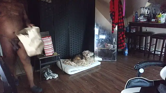 bigshh8 online show from January 11, 12:04 am