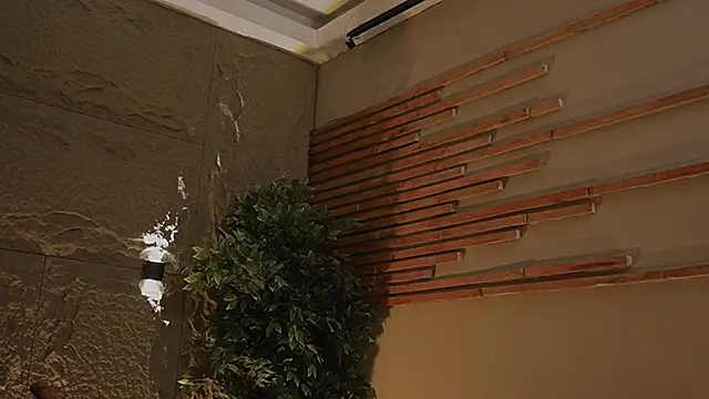 Logan Varela online show from November 1, 12:56 am