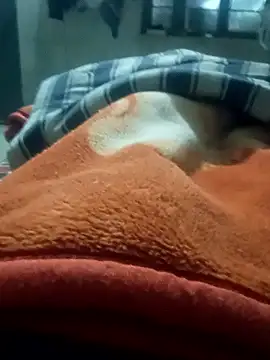 rjxraj online show from January 11, 3:17 pm