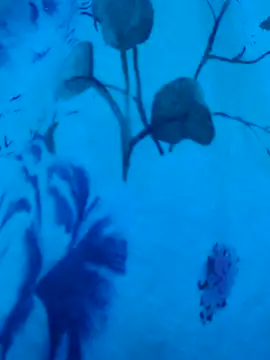 gurlnips online show from September 19, 6:37 am