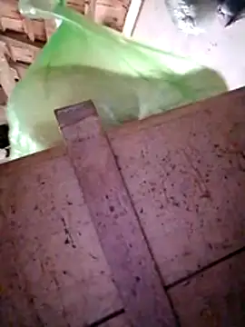 Hotpussy3ox online show from December 20, 3:13 am