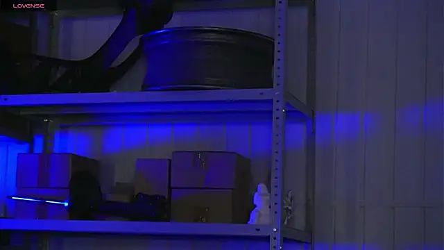 dustyn fox online show from March 17, 3:04 pm