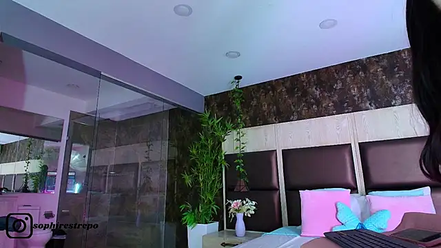 sophie starx online show from January 9, 4:41 am