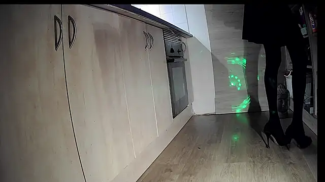 Snapshot of FLakiReve chatting on November 14, 9:24 pm FLakiReve online show from November 14, 9:24 pm