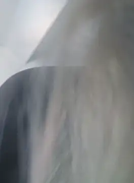 Linda 999 online show from September 19, 9:54 am