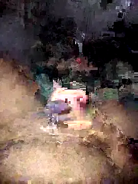 Zenfox24 online show from April 7, 11:43 am