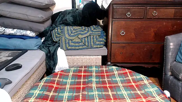 ladyscarlotta online show from February 9, 4:04 am