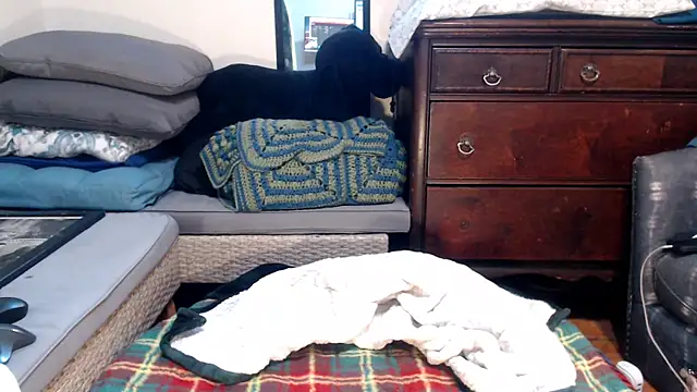 ladyscarlotta online show from February 9, 4:50 pm